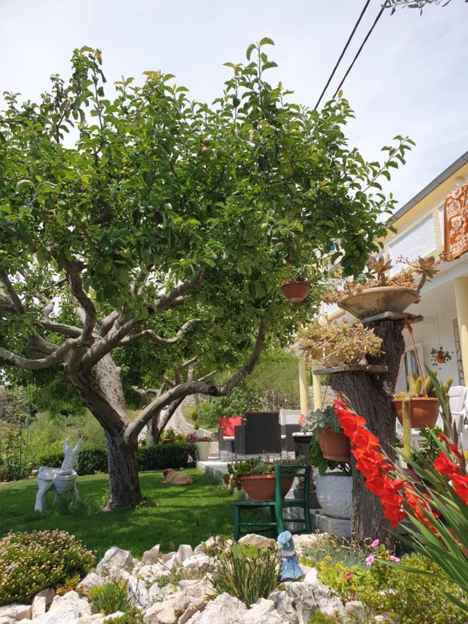 Apartmani I Sobe Jusic Раб Экстерьер фото